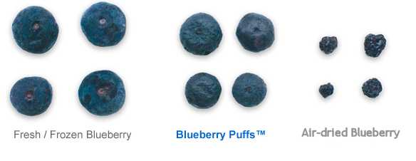 kinds of blueberries